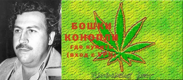 PSILOCYBIN Абдулино