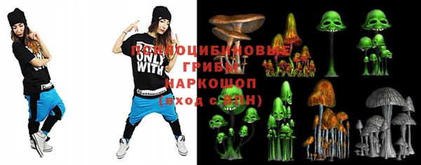 PSILOCYBIN Абдулино