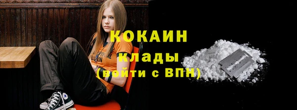 ГАЛЛЮЦИНОГЕННЫЕ ГРИБЫ Алексин